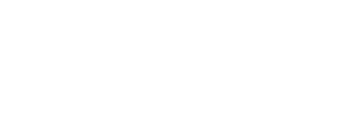 Dácia Select